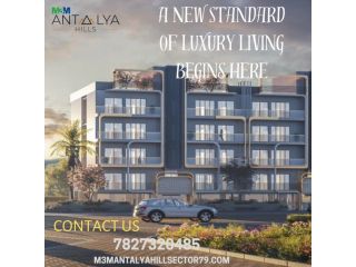 luxury-floor-m3m-antalya-hills-35-bhk-small-0