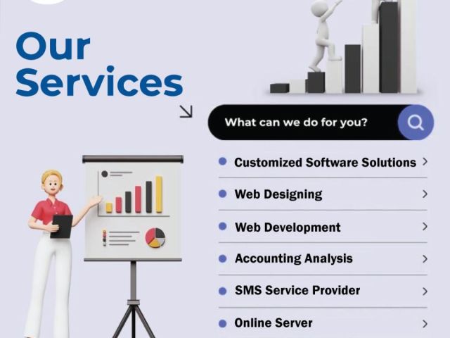 information-technology-consulting-in-haryana-lk-softwares