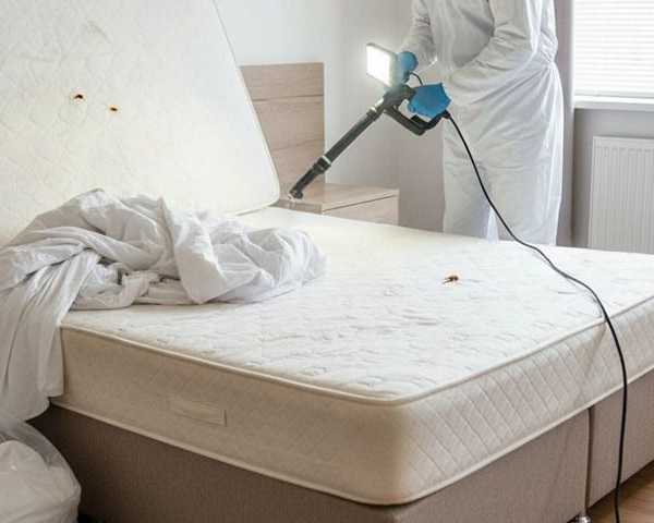 best-pest-control-services-in-hyderabad-ajl-pest-control
