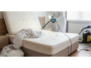 best-pest-control-services-in-hyderabad-ajl-pest-control-small-0