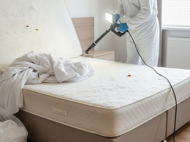 best-pest-control-services-in-hyderabad-ajl-pest-control