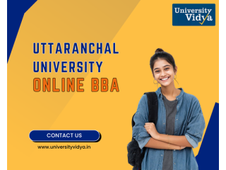 business-mindset-uttaranchal-university-online-bba-small-0