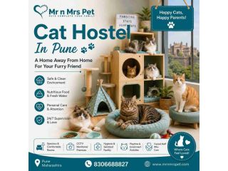 cat-hostel-in-pune-small-0