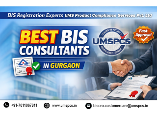 best-bis-consultant-in-gurgaon-small-0