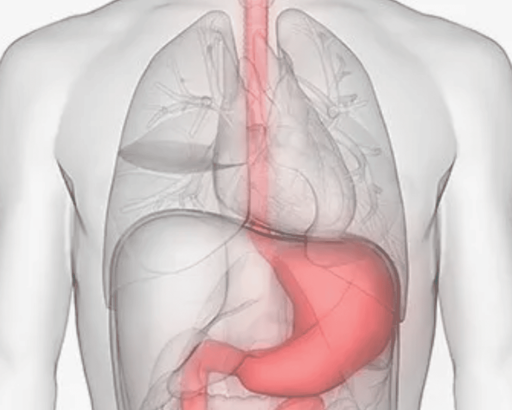 stomach-cancer-treatment-in-ahmedabad-airavat-cancer-care
