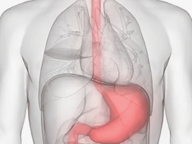 stomach-cancer-treatment-in-ahmedabad-airavat-cancer-care