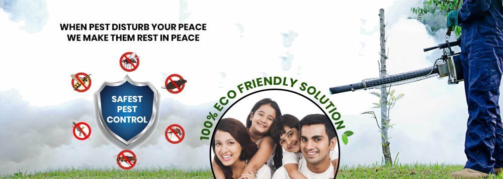 trusted-pest-control-services-for-home-office-big-0