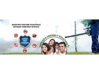 trusted-pest-control-services-for-home-office-small-0