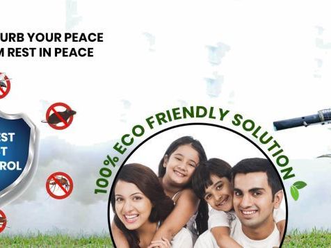trusted-pest-control-services-for-home-office