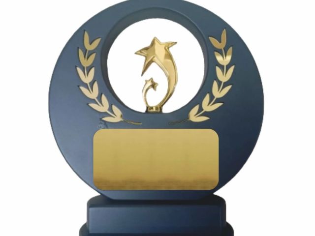 gold-star-achievement-award