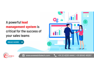 why-a-powerful-lead-management-system-is-critical-for-sales-small-0