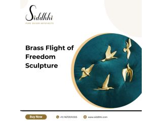 brass-flight-of-freedom-sculpture-for-home-decor-siddhhi-arts-small-0