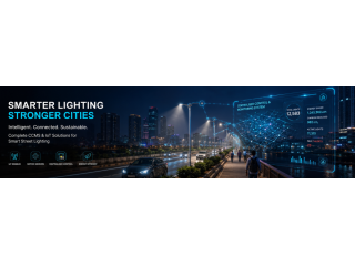 smart-city-lighting-solutions-iot-ccms-future-of-urban-light-small-0