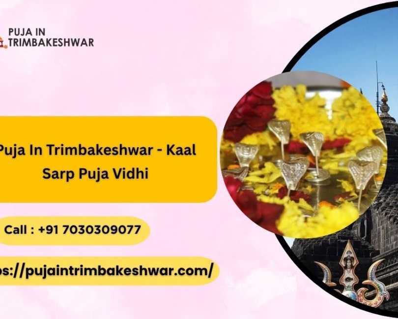 puja-in-trimbakeshwar-kaal-sarp-dosh-puja-vidhi