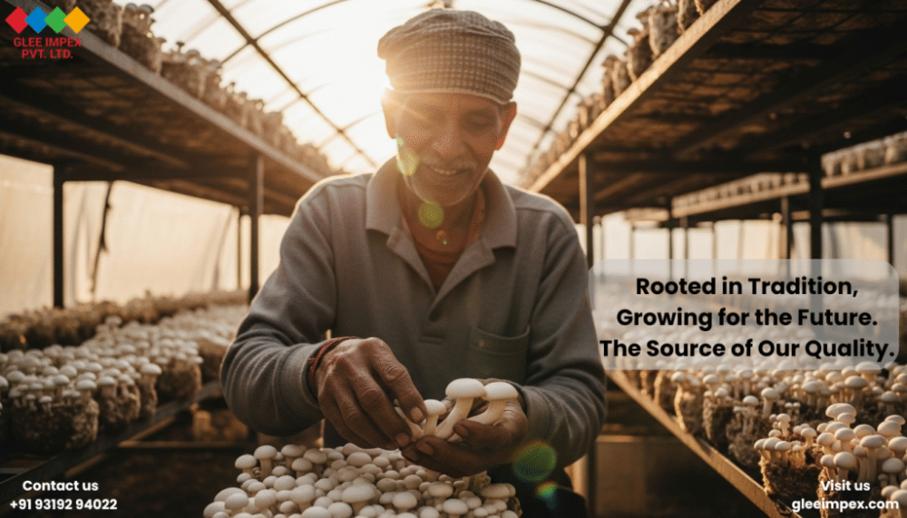 best-mushroom-exporter-in-india-premium-mushroom-by-glee-impex-big-0