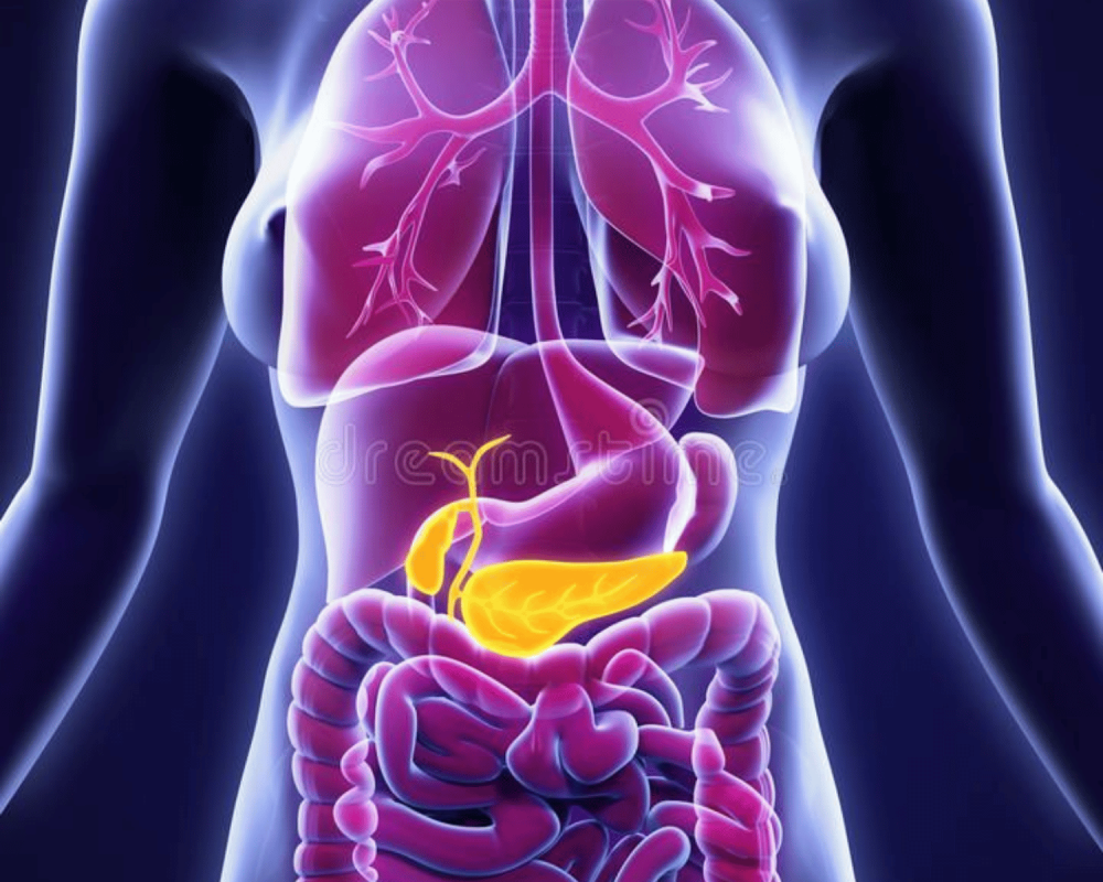 complete-hpb-cancer-diagnosis-and-surgical-treatment-in-ahmedabad