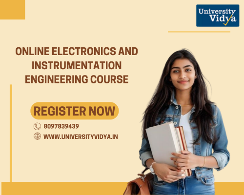 online-electronics-and-instrumentation-engineering-course-big-0