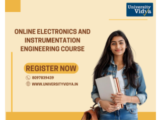 online-electronics-and-instrumentation-engineering-course-small-0