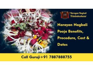 narayan-nagbali-trimbakeshwar-small-0