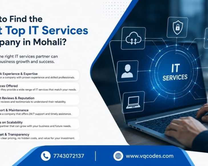 how-to-find-the-best-top-it-services-company-in-mohali