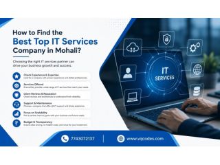 how-to-find-the-best-top-it-services-company-in-mohali-small-0