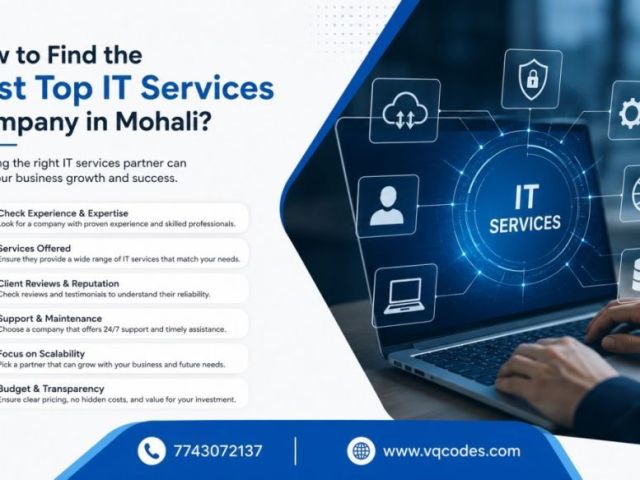 how-to-find-the-best-top-it-services-company-in-mohali