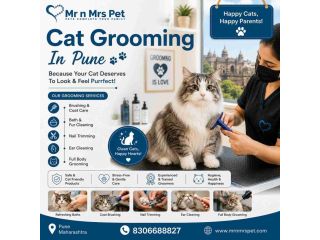cat-grooming-in-pune-small-0