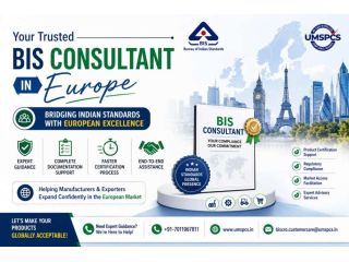bis-consultant-in-europe-small-0