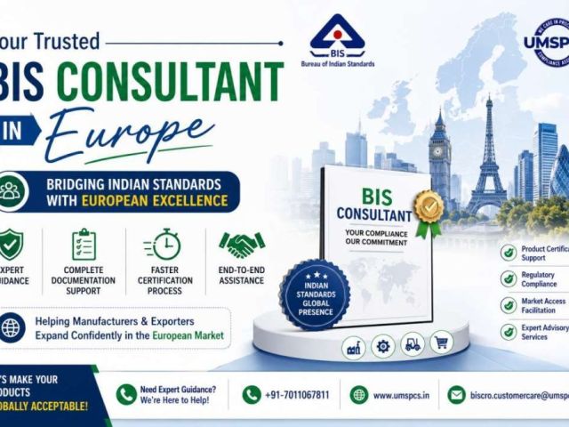 bis-consultant-in-europe