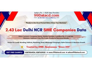 get-243-lac-delhi-ncr-sme-companies-data-free-sample-available-small-0