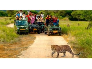 jhalana-leopard-safari-jaipur-timings-jeep-safari-guide-small-0