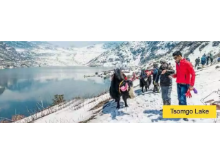 darjeeling-gangtok-tour-package-by-naturewings-holidays-small-0