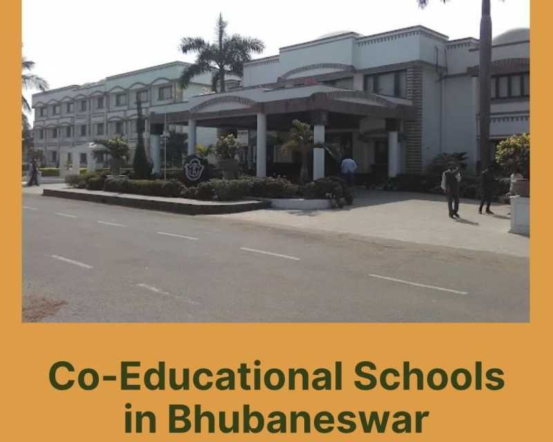 dps-kalinga-is-one-of-co-educational-schools-in-bhubaneswar