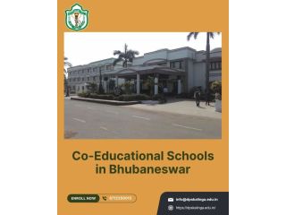 dps-kalinga-is-one-of-co-educational-schools-in-bhubaneswar-small-0