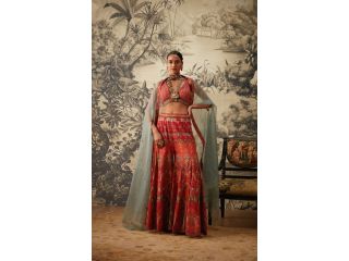 explore-wedding-sharara-suits-online-at-kalista-small-0