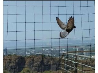 top-bird-net-supplier-mumbai-expert-netting-solutions-small-0