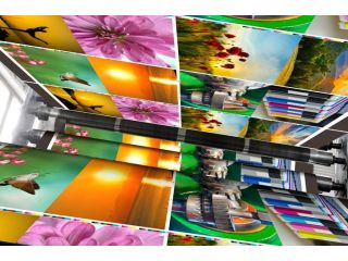 best-printing-press-in-delhi-gupta-printers-call-9891225416-small-0