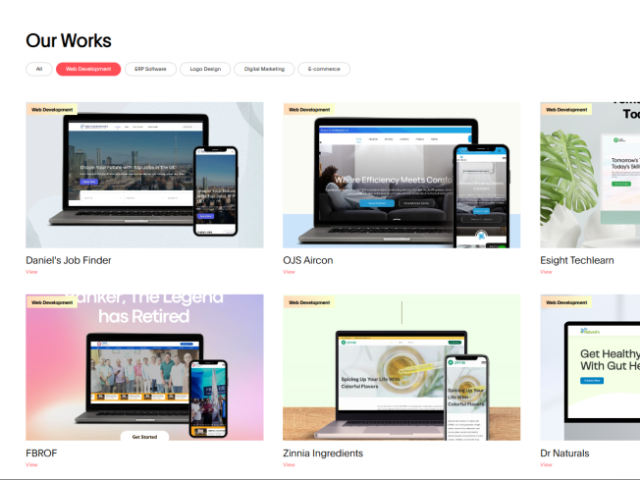 web-designing-company-in-ernakulam-esight