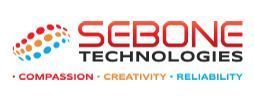 sebone-it-infrastructure-consulting-services-for-business-big-0