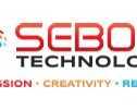 sebone-it-infrastructure-consulting-services-for-business