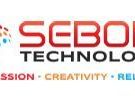 sebone-it-infrastructure-consulting-services-for-business