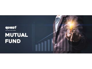 compare-and-invest-in-best-quant-mutual-funds-today-small-0