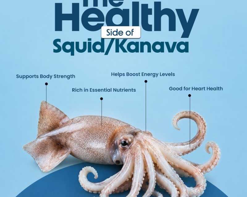 the-healthy-squid