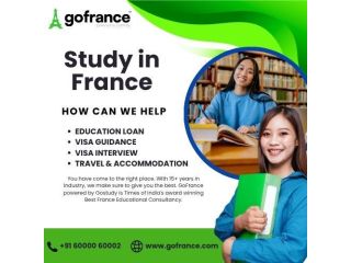 study-in-france-build-your-global-career-with-go-france-small-0