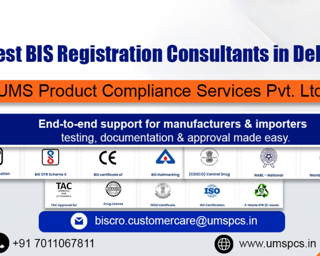 best-bis-consultants-in-delhi-2026