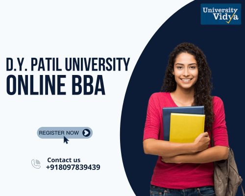 underpinnings-dy-patil-university-online-bba-big-0