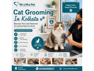 cat-grooming-in-kolkata-small-0