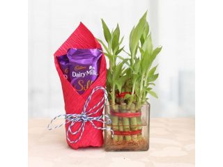 send-gifts-for-dad-online-birthday-fathers-day-gifts-small-0