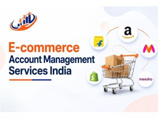 ecommerce-account-management-services-delhi-india-caasto-small-0