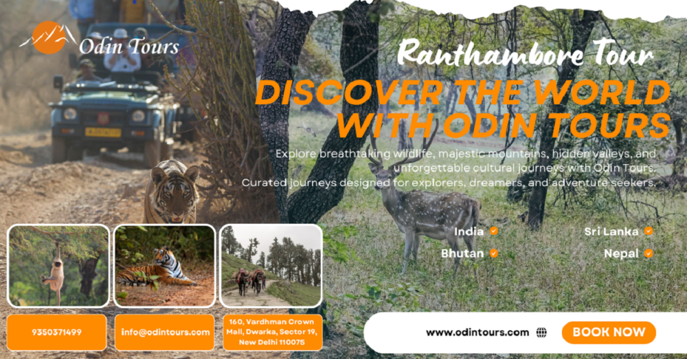 rajasthan-holiday-packages-rajasthan-journey-big-0